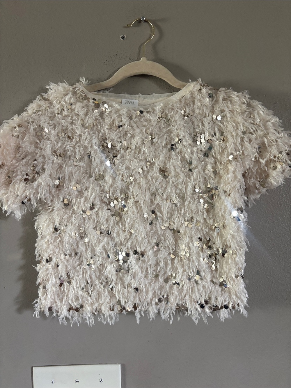 Zara Cream Sequin Feathered Short Sleeve Top